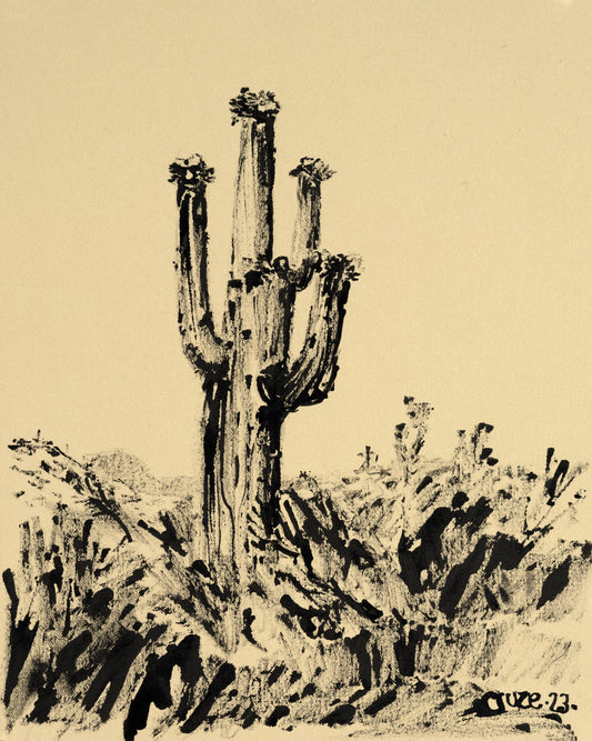 Saguaro en fleurs